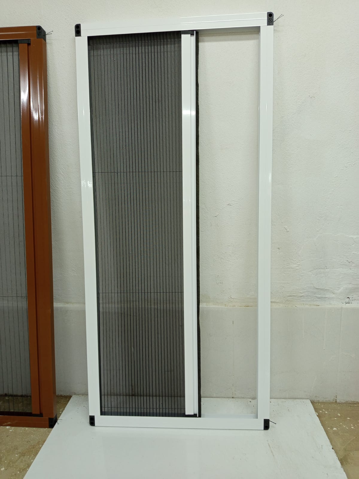 Mercan Sineklik
